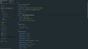 Explore the Webpack template
