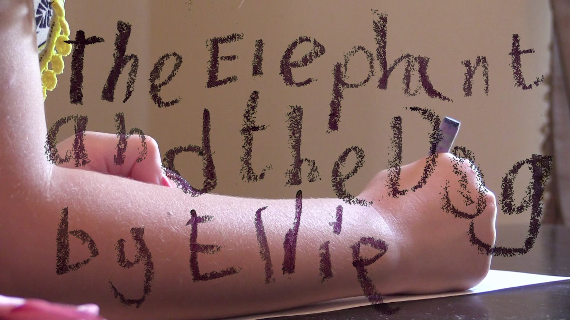 The Elephant and the Dog