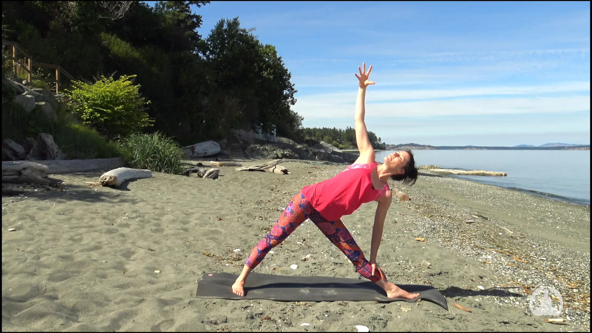 Chaturanga Dandasana Tutorial with Rachel Scott on Vimeo