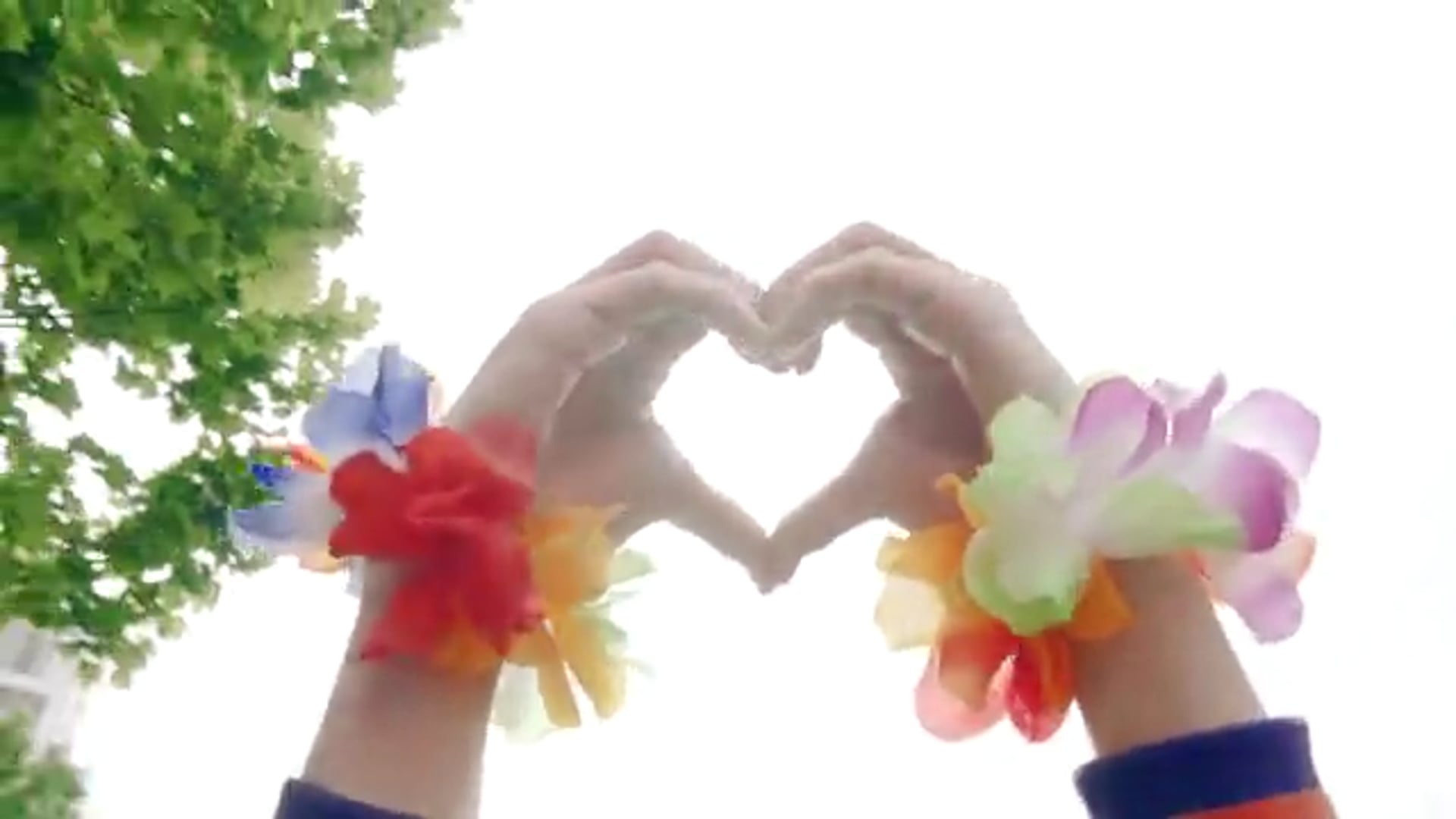 Marriage Equality Flash Mob Performance - Results Day Street Party