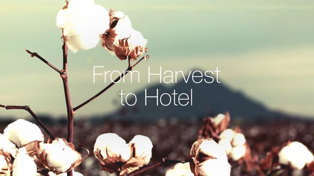 Exclusive Linens - Customer Success Story