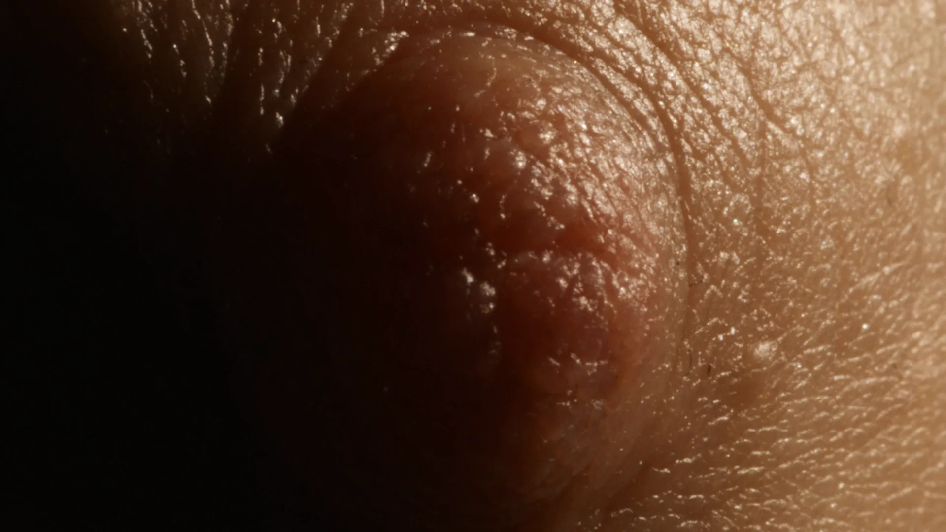 Define Beauty: Nipples - NOWNESS