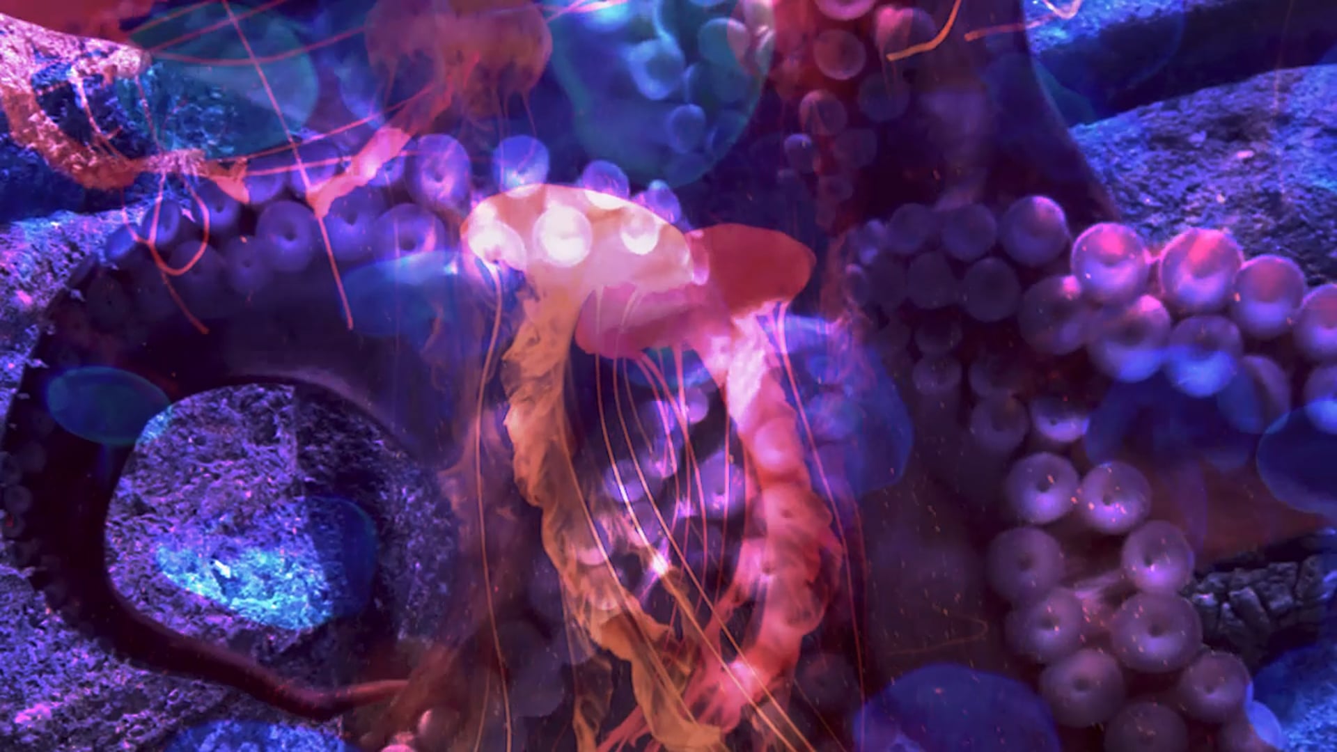 keep it dumb, make it soft