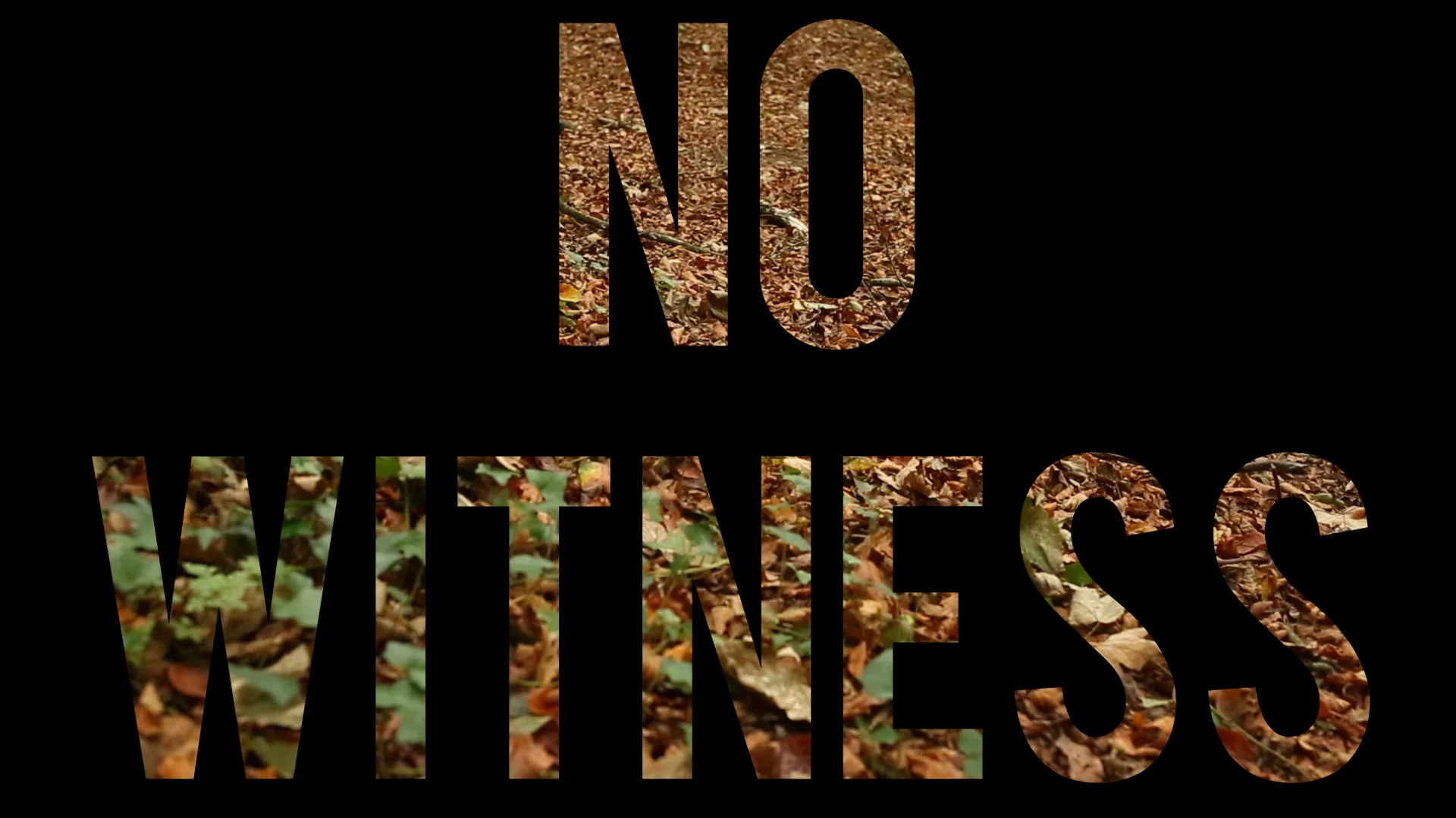 LP-No Witness Screen Dance Choreography on Vimeo