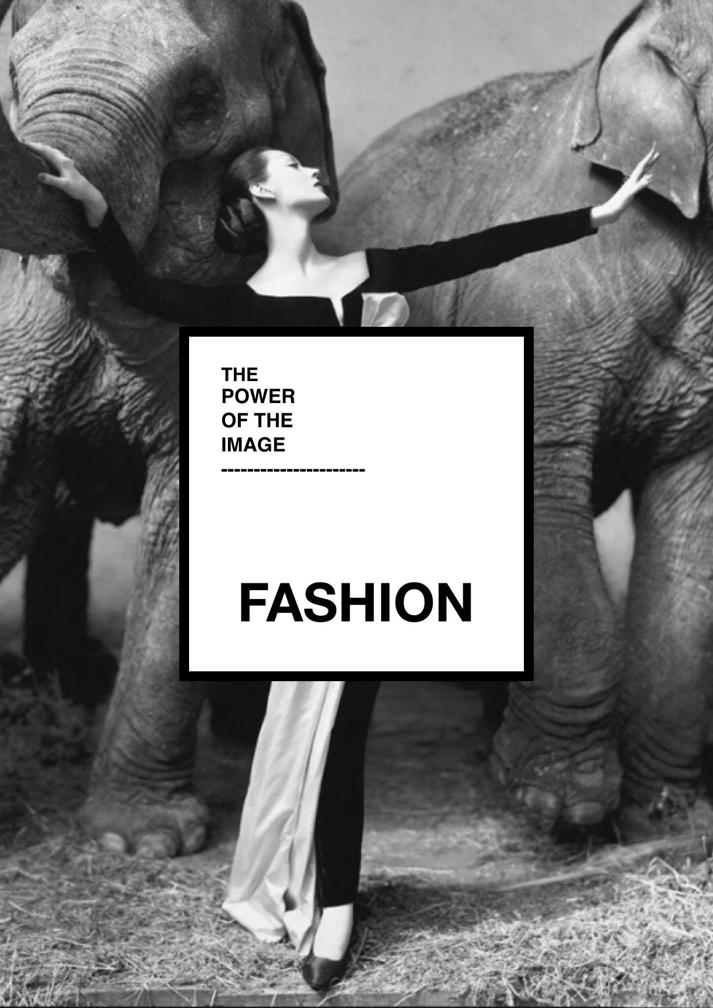 The Power Of The Image ¶ Fashion