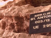 Mercat de Sant Antoni, arqueologia