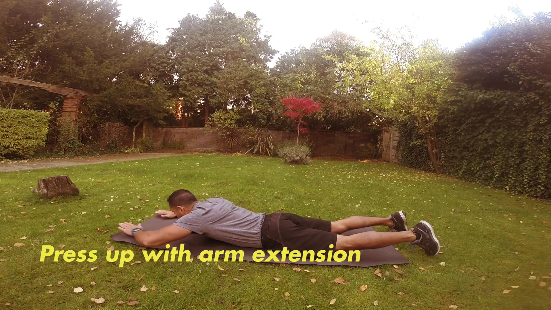 Upper Body Exercise on Vimeo