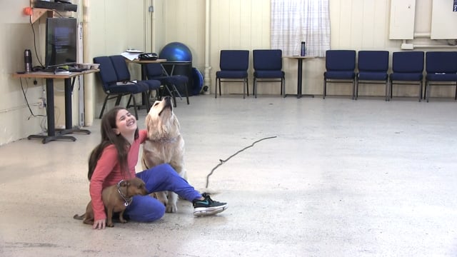 Service Dog Working with Junior Dog Trainer Gabby