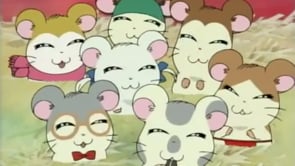 Hamtaro On Vimeo