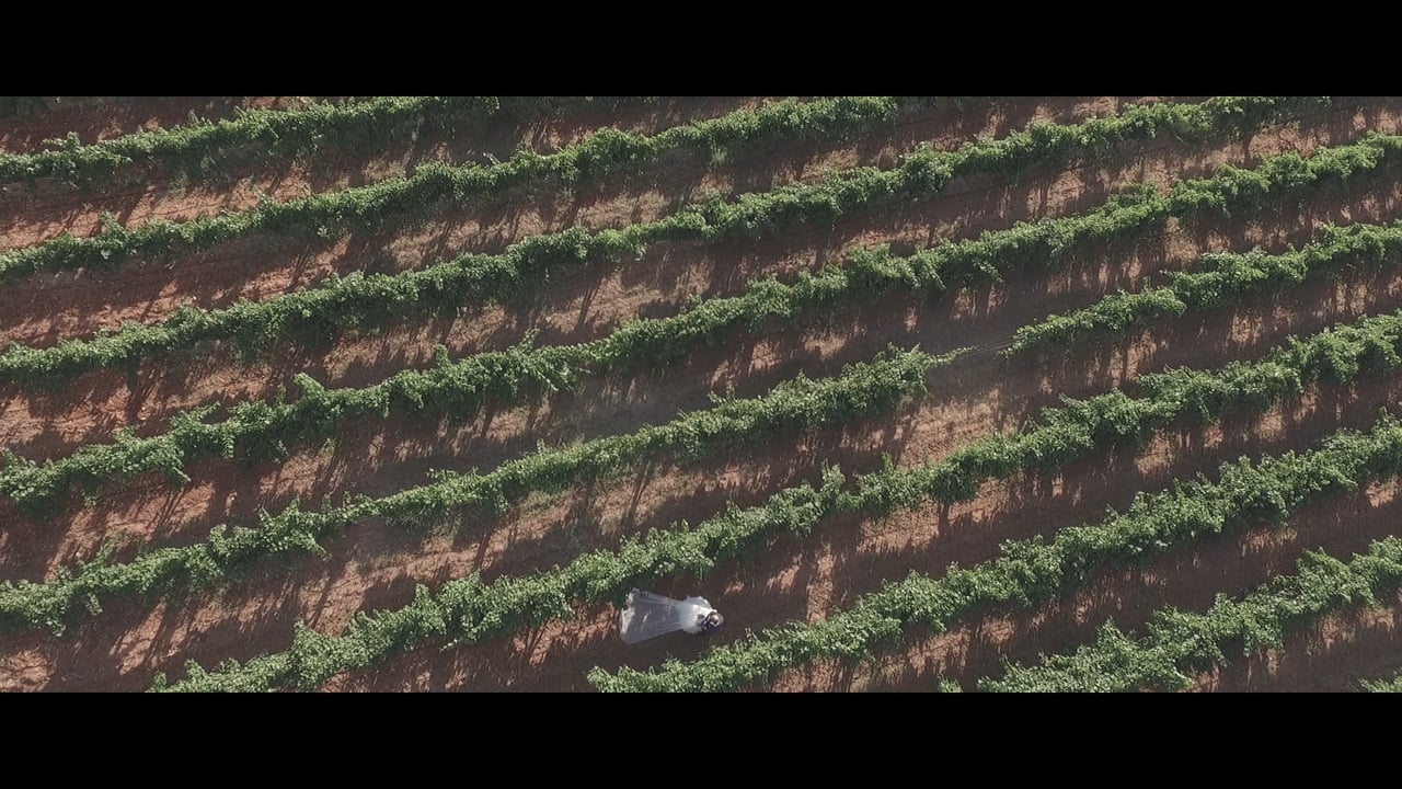 Dimitris & Zoi Wedding Film