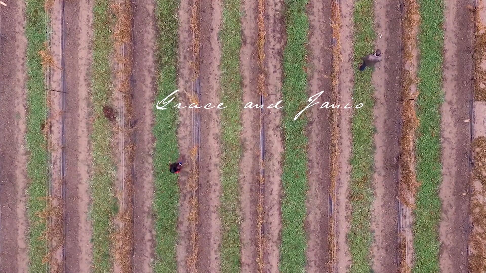 #GraceAndJanio - Save the date - 12 | 16 | 2017