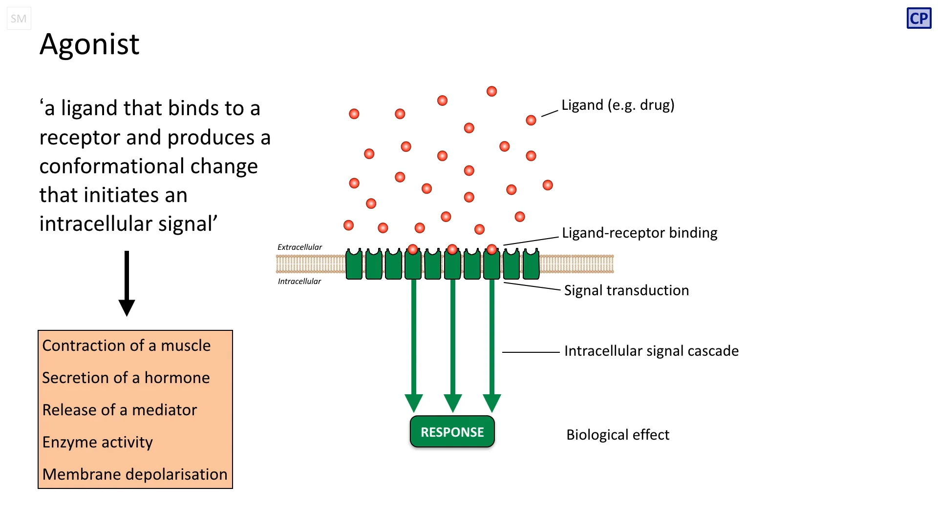 667738395-cc81fa254cbcc9dc727de536928256