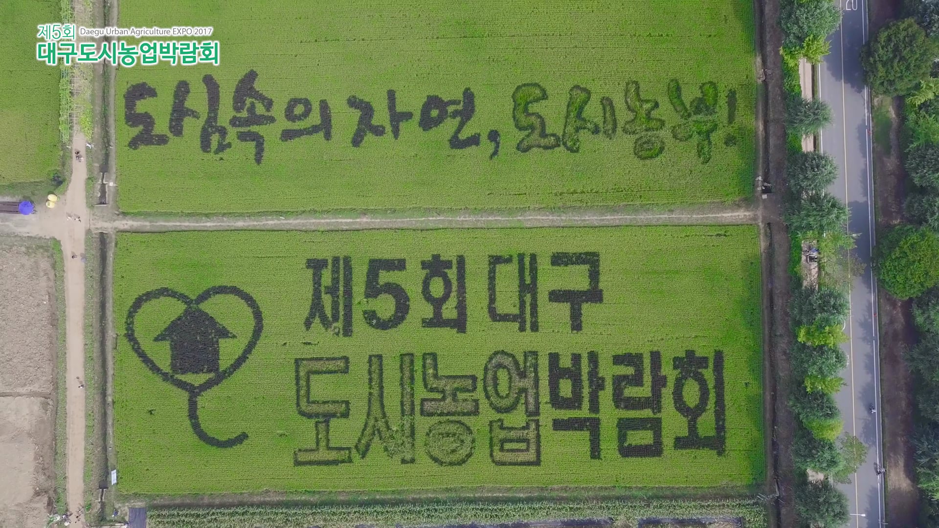 5회 대구도시농업박람회 스케치