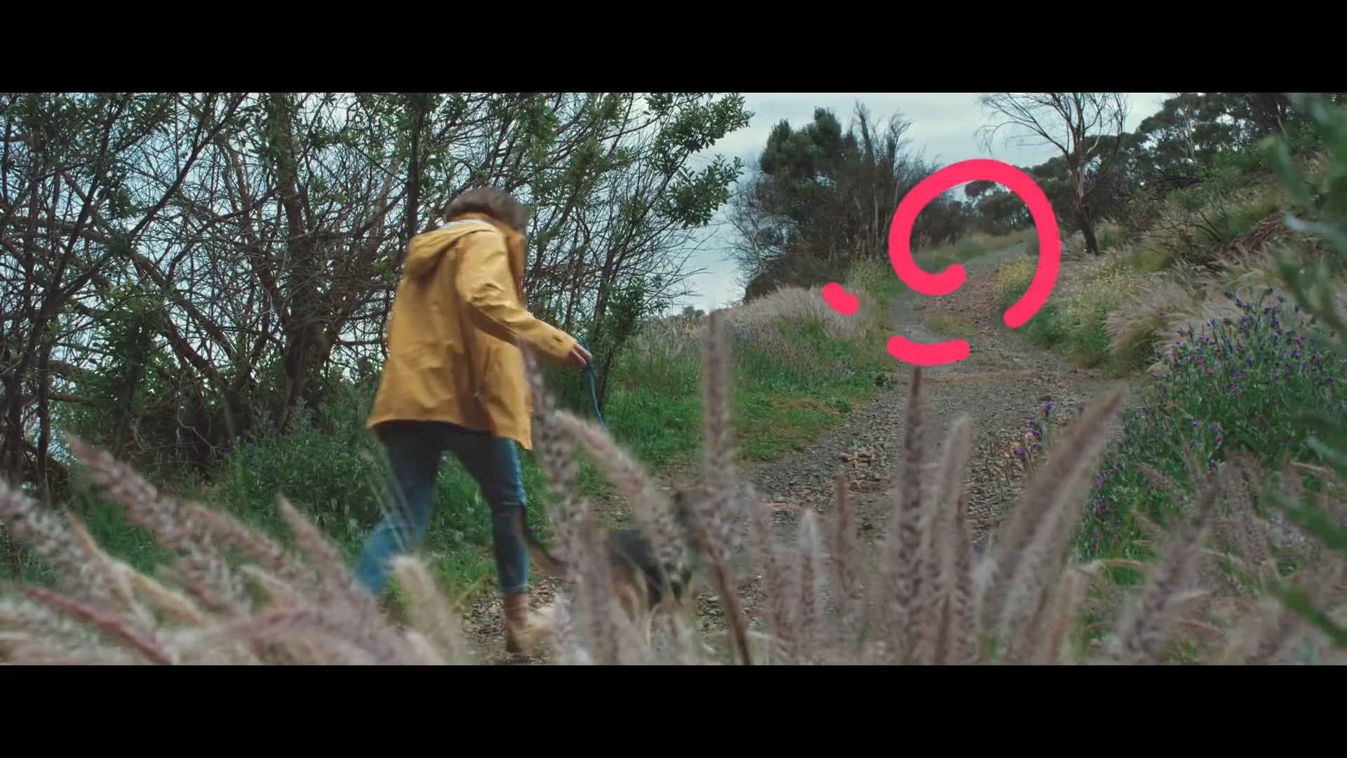 Montego Dog Nutrition "Happy Mondays"