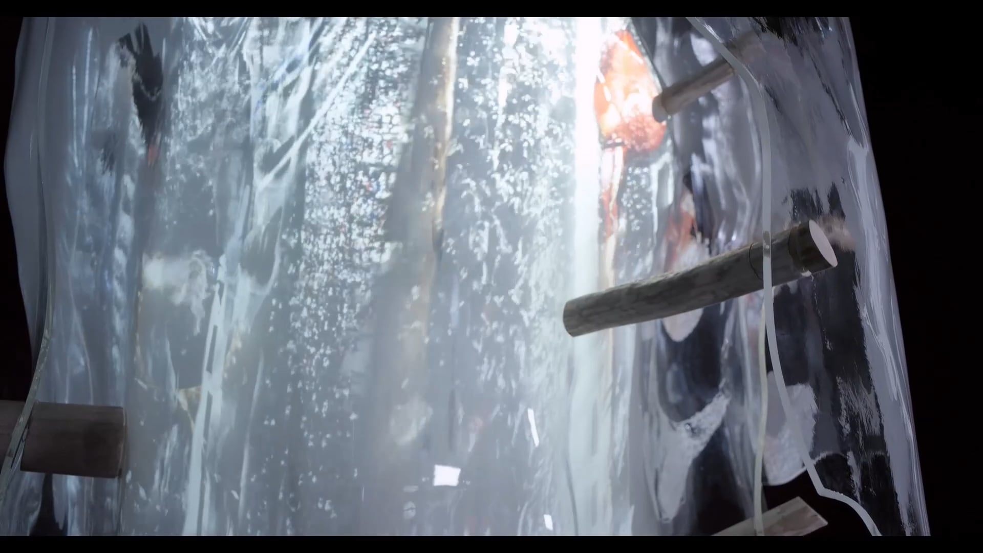 Jakub Nepraš, Kůra, 2014