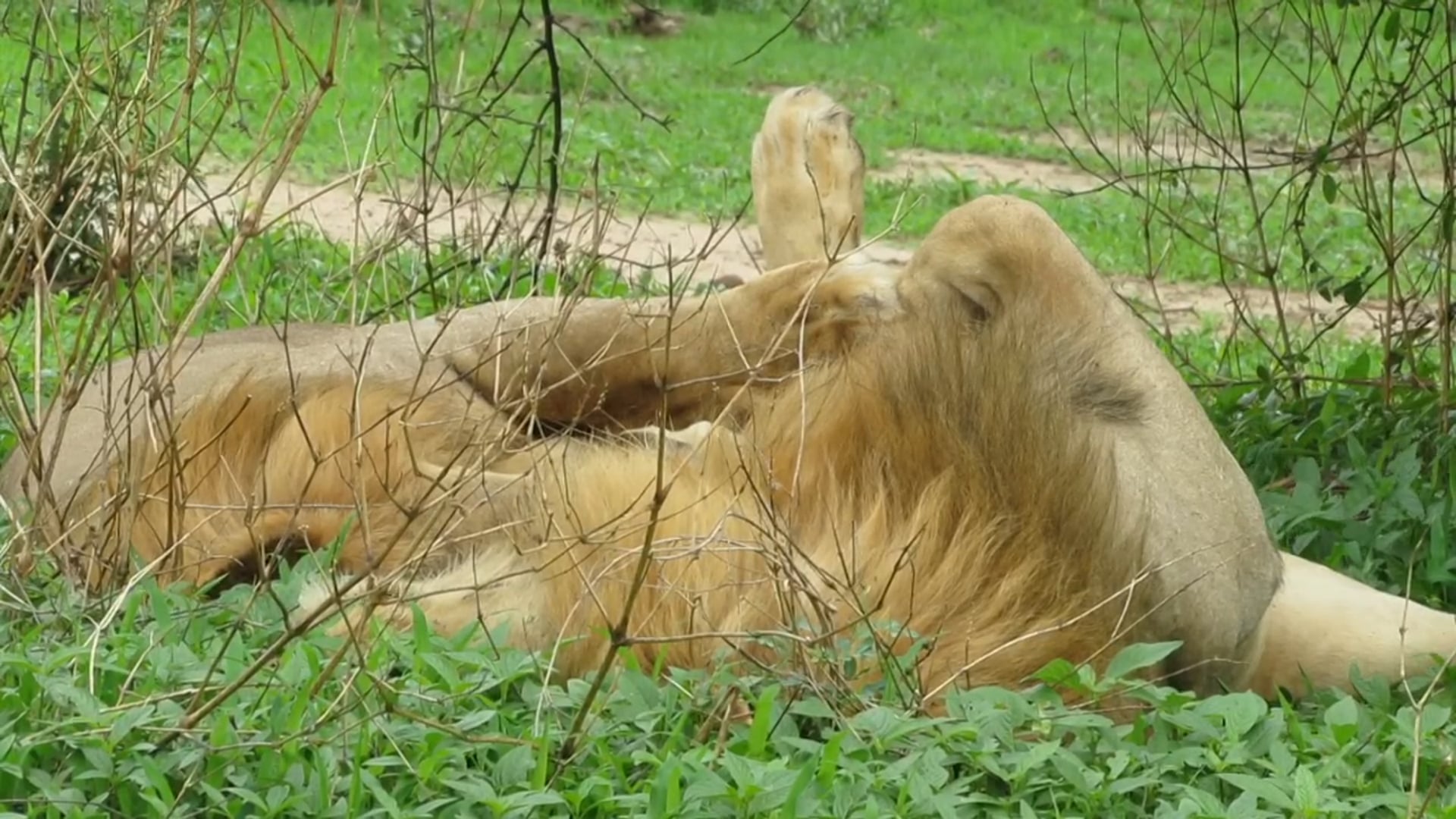Royal Zambezi Activities