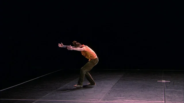 DVD danse classique Pina Bausch - Mademoiselle Danse