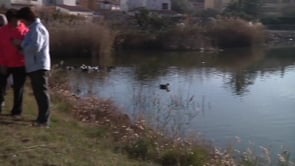 Passejada per descobrir l'estany de Poma