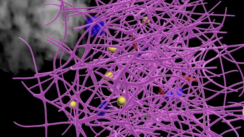 3D VIDEO MODEL SAMPLES - 3D SAMPLES on Vimeo