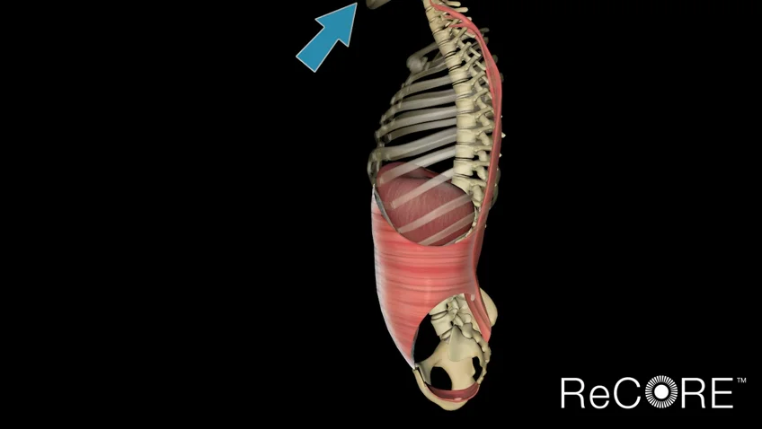 3D SAMPLES on Vimeo