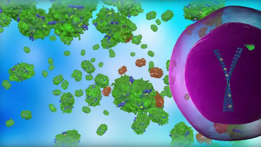3D VIDEO MODEL SAMPLES - 3D SAMPLES on Vimeo