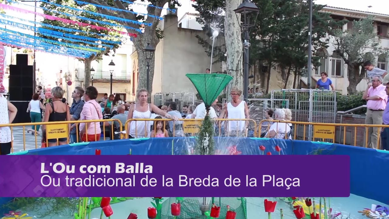 Breda de la Plaça 2016