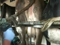 http://www.kerbl.de/artikel/18250  Die konsequente Weiterentwicklung des Erfolgsmodells aus Neuseeland: &amp;bull; noch leichter &amp;bull; noch effizienter &amp;bull;&amp;hellip;