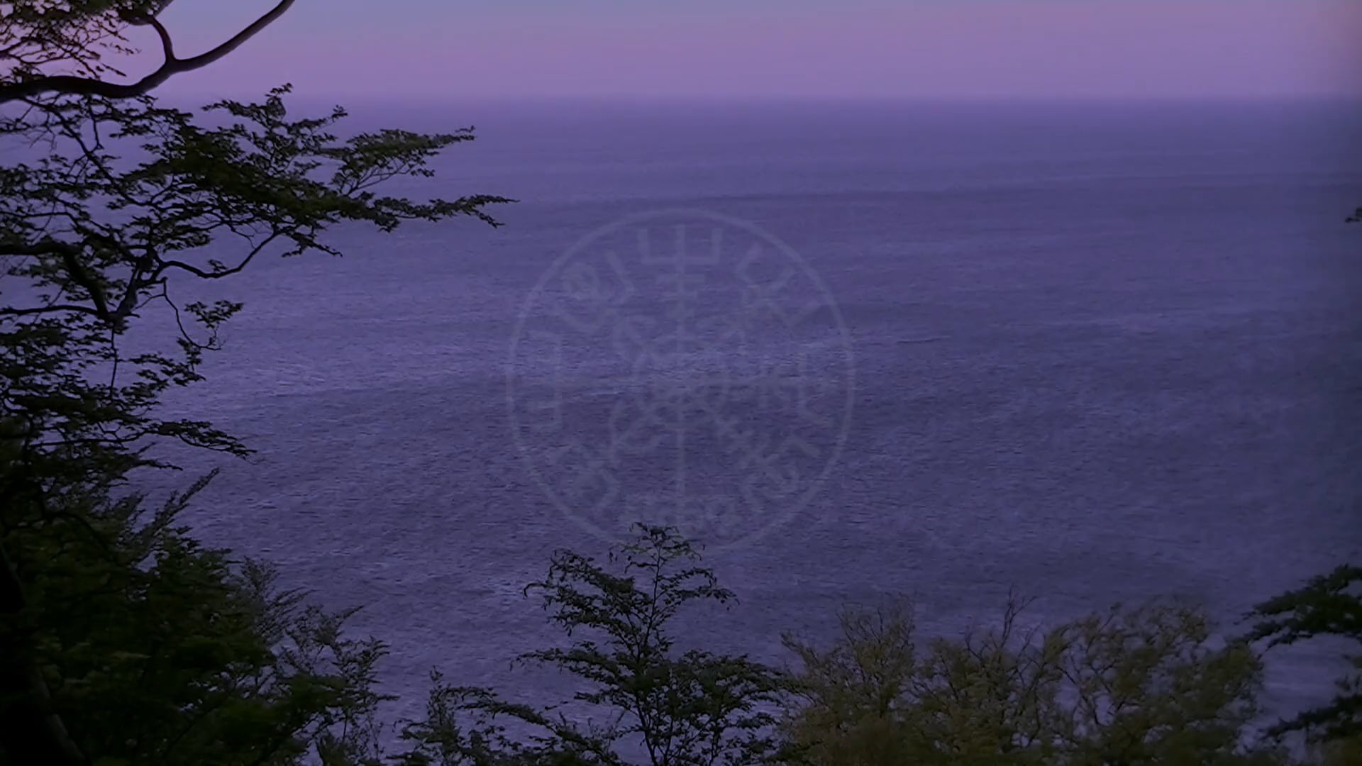 The Spirit of Vegvisir Race