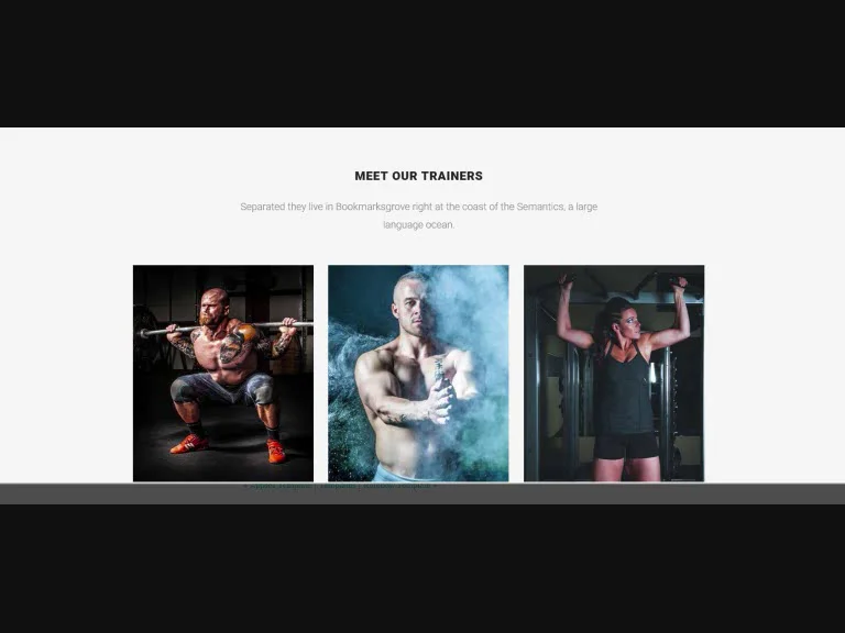 Fitness Free Boostrap Responsive Website Template on Vimeo