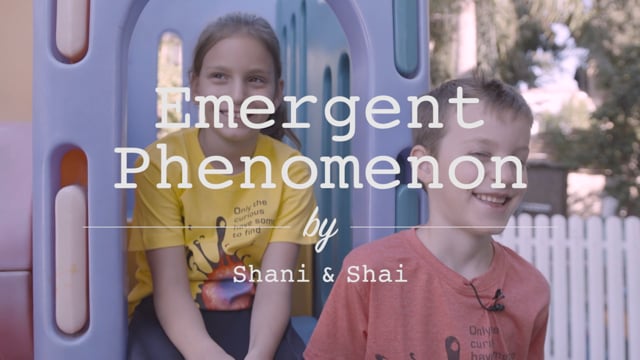 Emergent Phenomenon by Shani & Shai, IB 2017, Eran Bouchbinder's talk