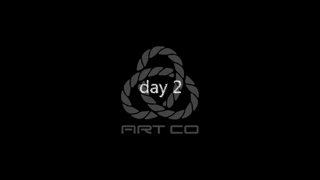 RopeFest 2017 Day2 in Shibari on Vimeo