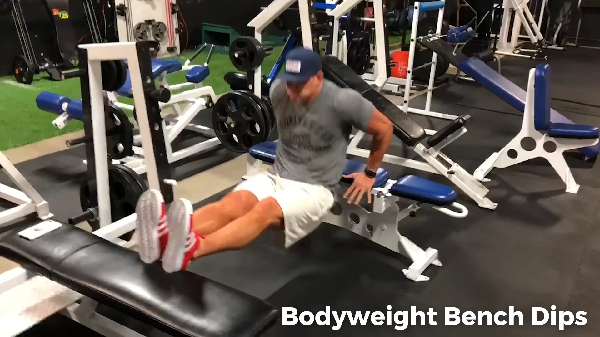 Bodyweight Bench Dips