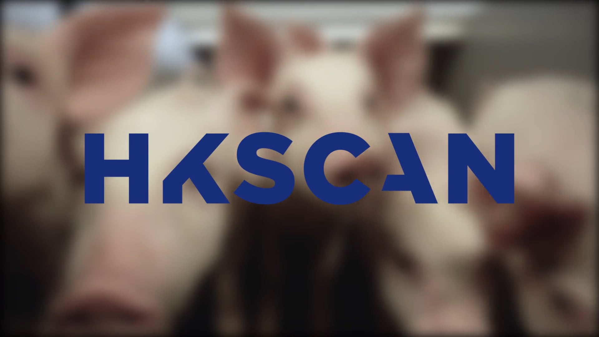 HKScan Antikainen pig farm at harvest (China)