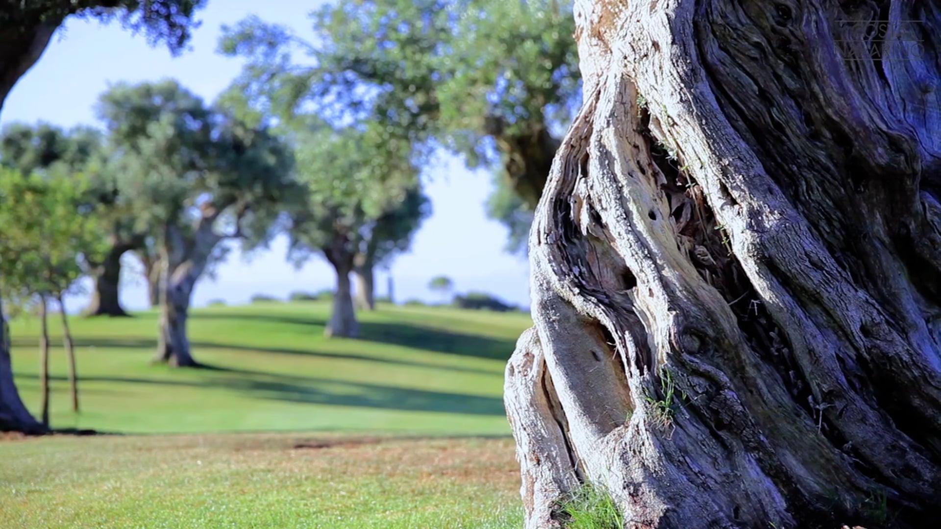 Costa Navarino Golf   be part of..   Commercial Golfspot Costa Navarino