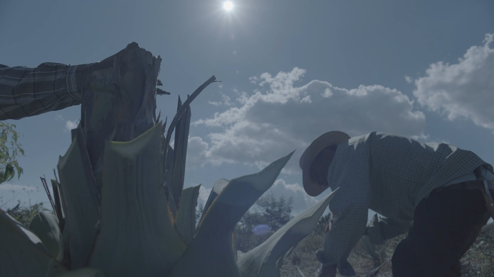 Teaser - In the Belly of the moon (Editor's Cut)