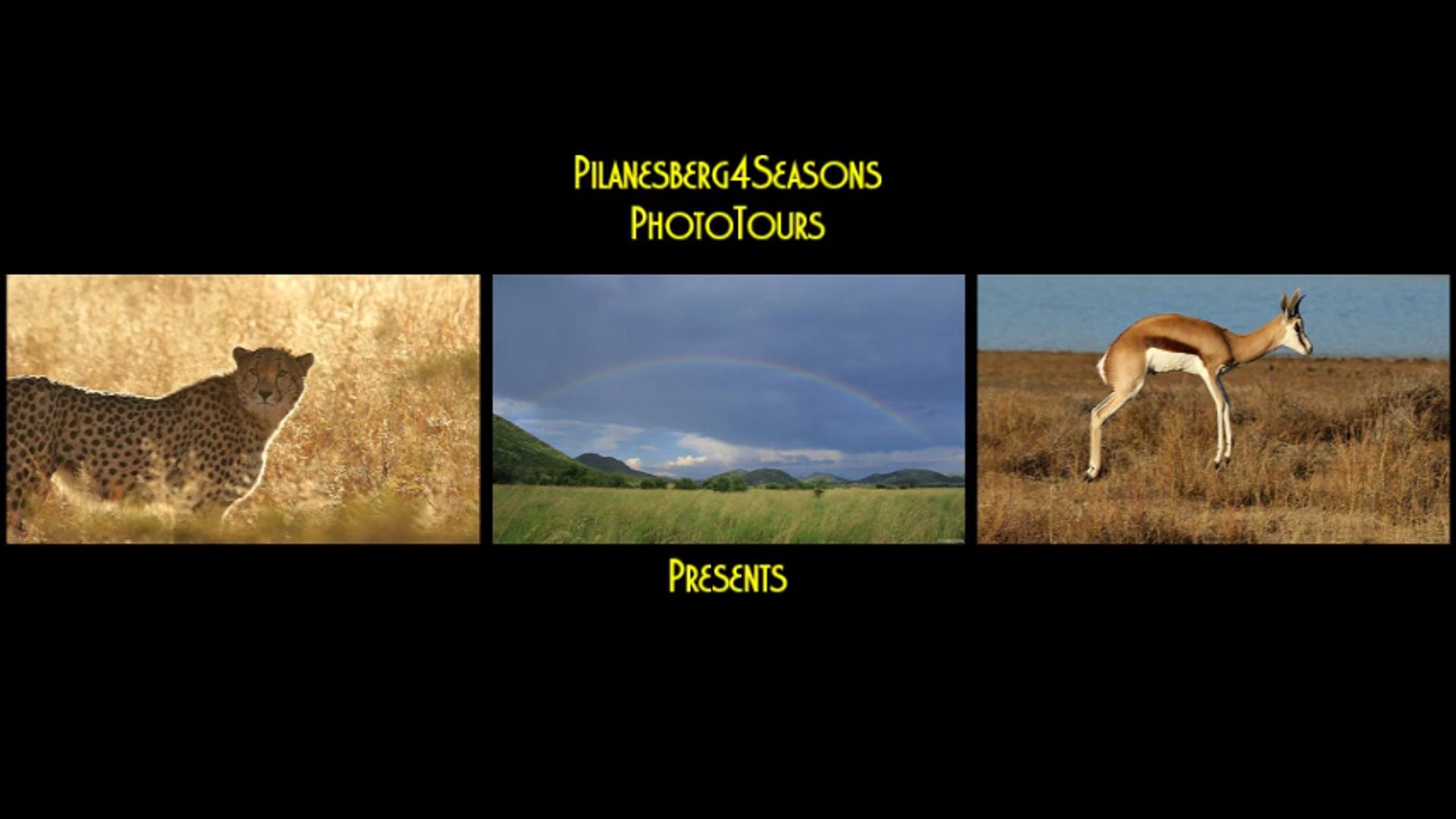 Pilanesberg4Seasons - Autumn 2017