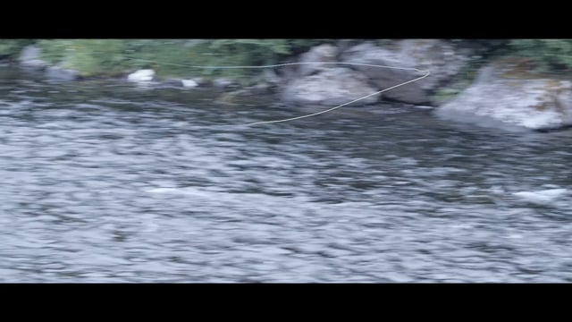Related Embedded Video Item Thumbnail