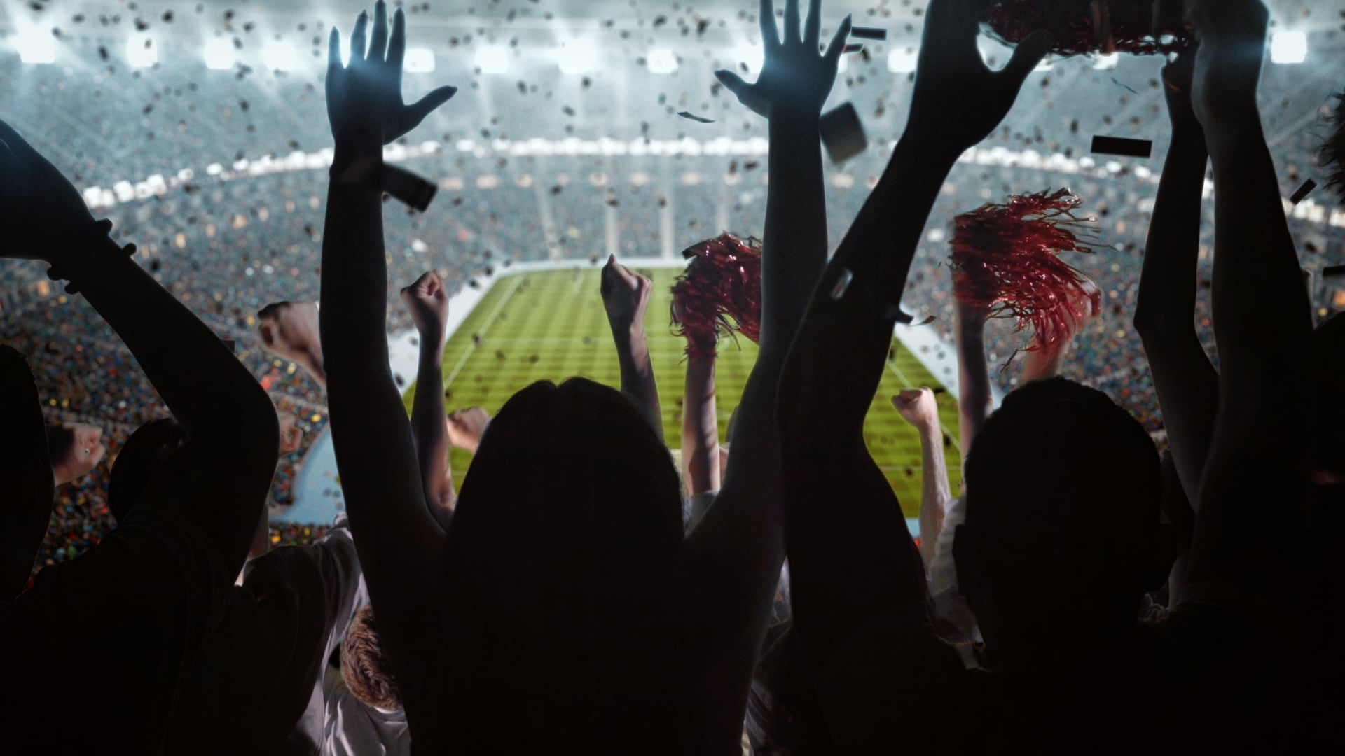 FIFA WORLD CUP 2018 / VISA / MAF