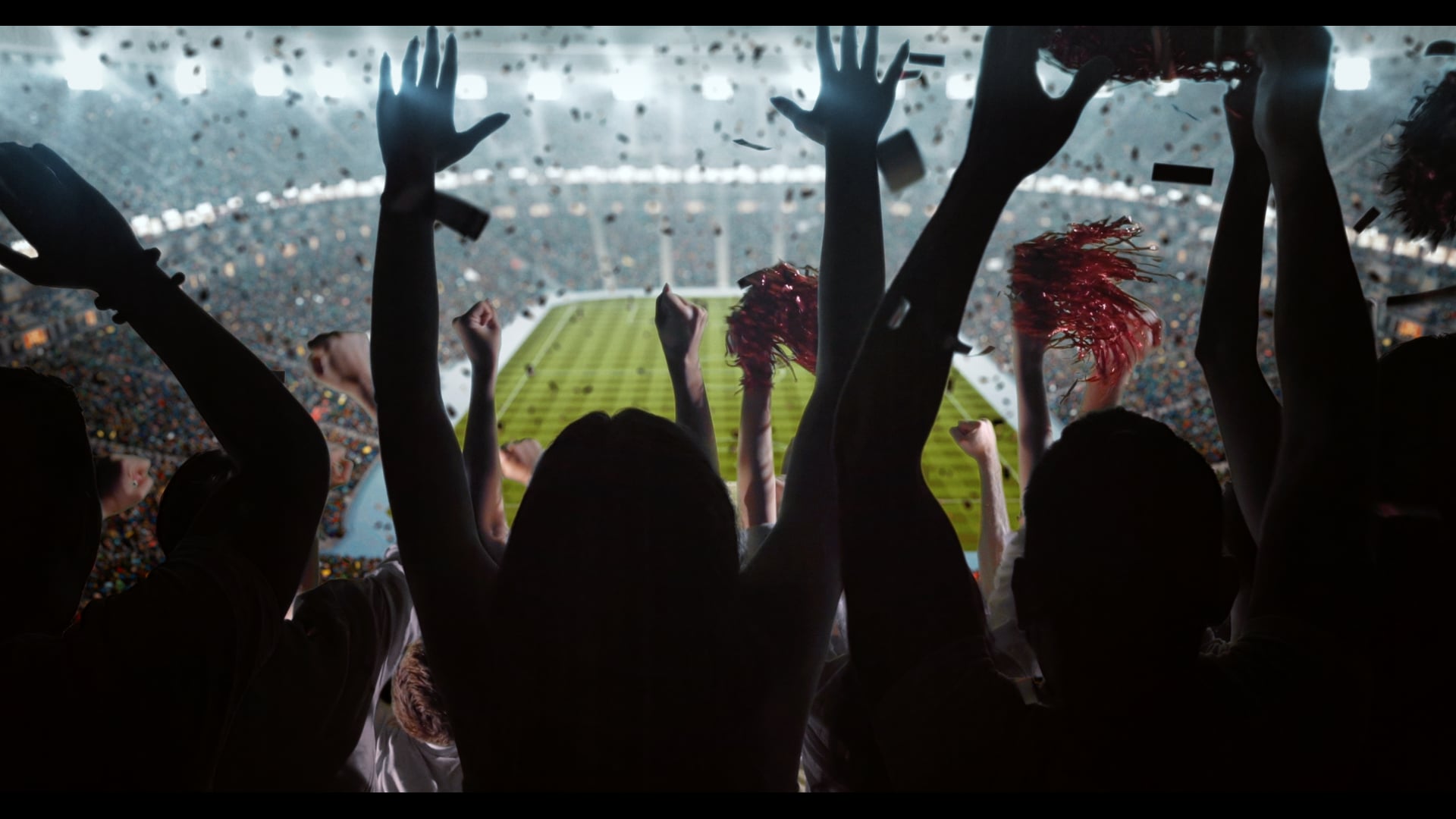 FIFA WORLD CUP 2018 / VISA / MAF