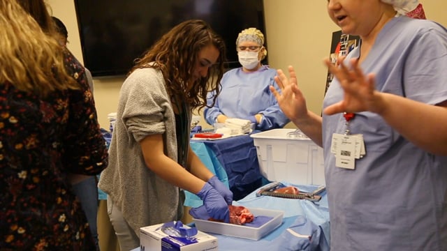 Portage EDC | 360 Healthcare Day