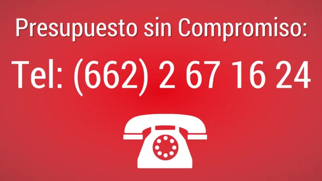 ▷ Cómo Saber Si Tienes Ratas En Casa: Señales a tener en cuenta