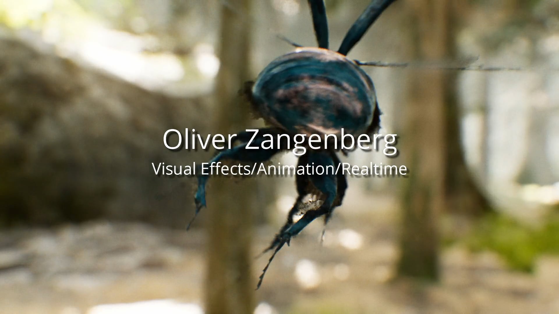 Oliver Zangenberg VFX/Animation/Realtime 2017