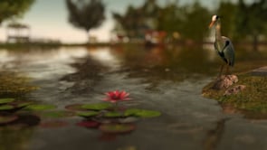 The Best of SL Art Video