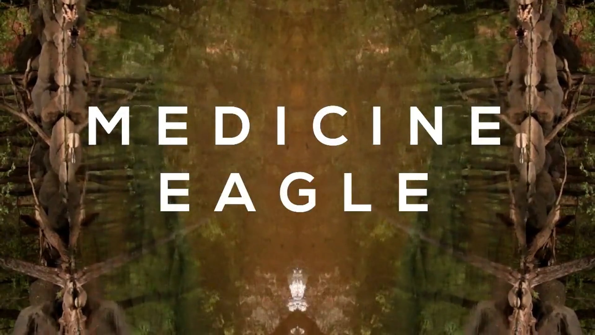 Medicine Eagle