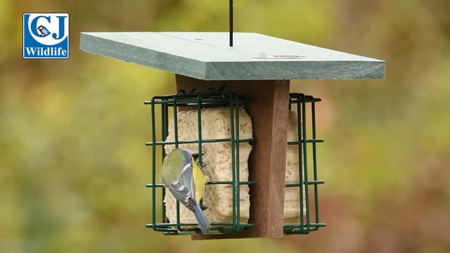 CJ Wildlife Moviso Peanut Cake Square Feeder