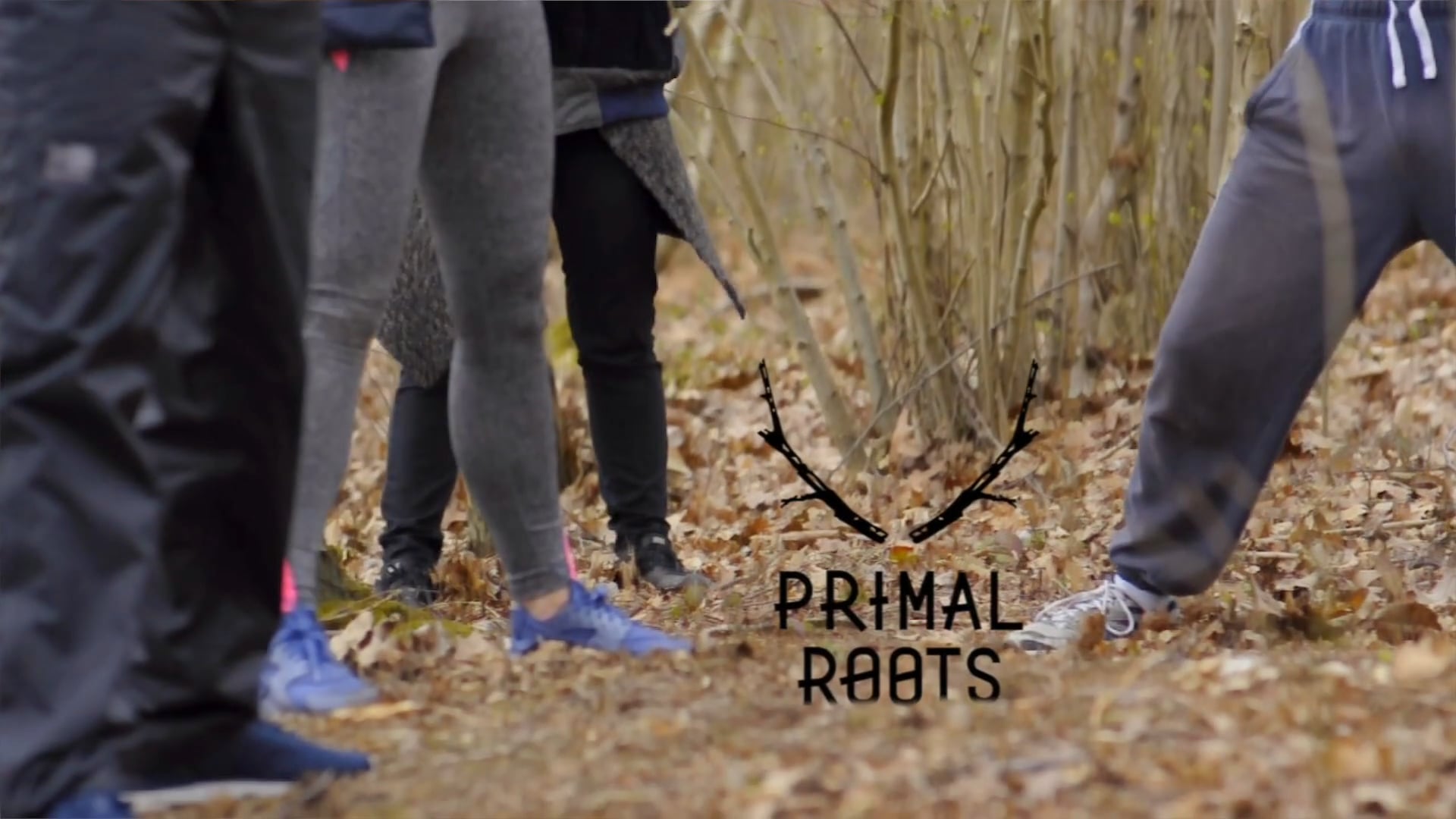 Primal Roots