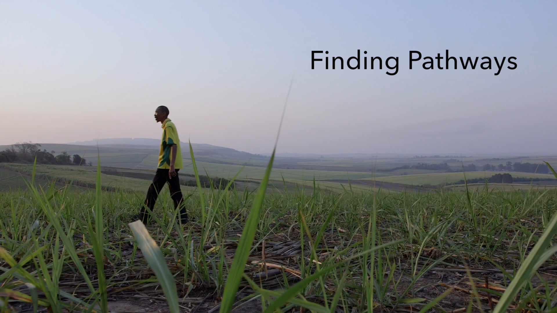 AFRA: Finding Pathways