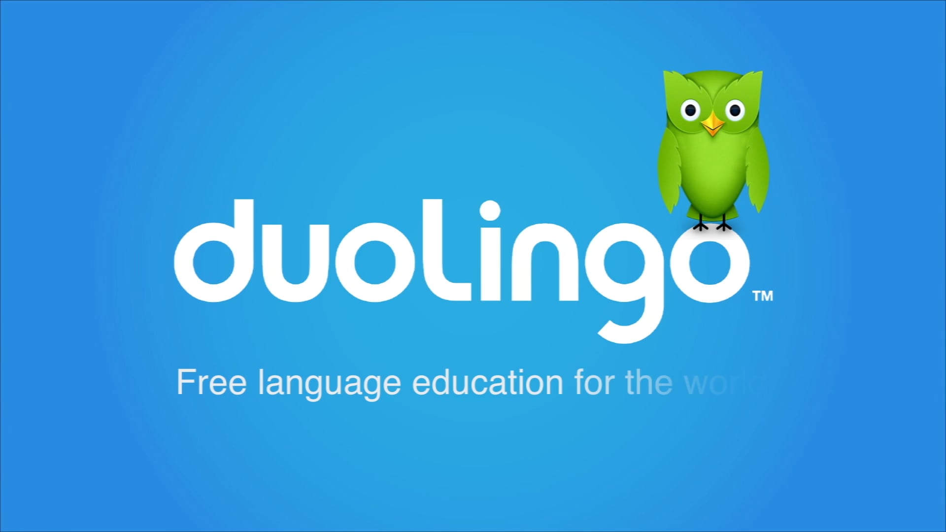 Duolingo learn. Duolingo. Duolingo английский. Duolingo приложение. Картинка приложения Duolingo.