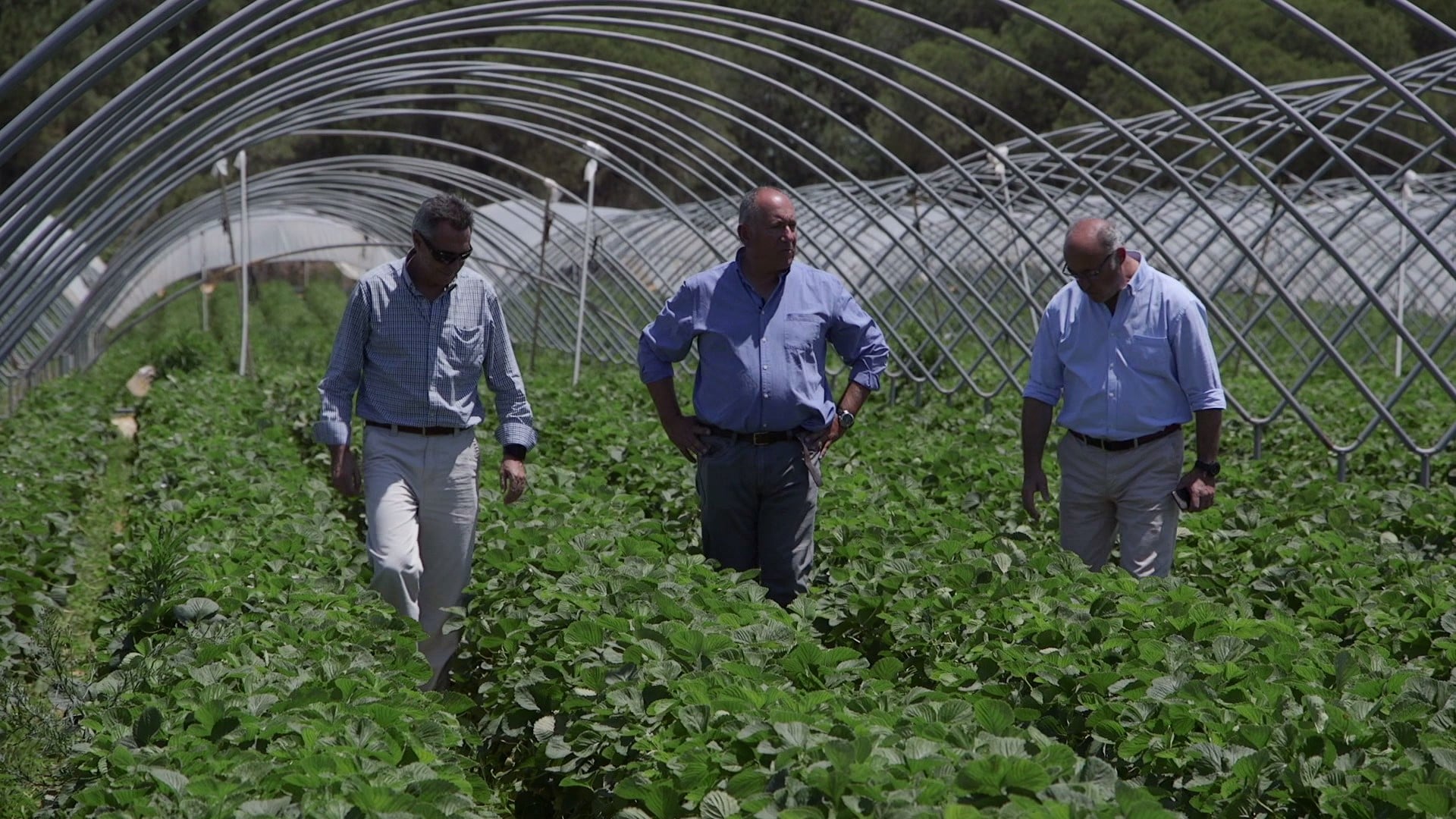 30年來 我們致力於研究植物壓力...