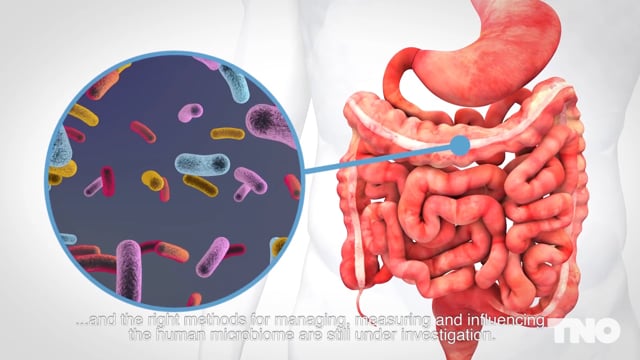 TNO Microbiome  -  Studio Oostrum